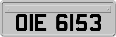 OIE6153