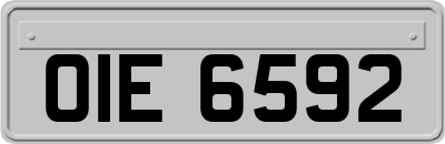 OIE6592