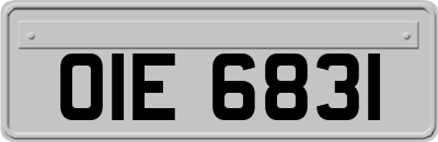 OIE6831