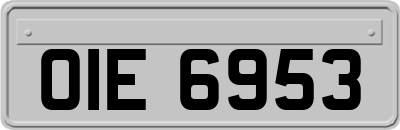 OIE6953