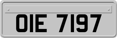 OIE7197