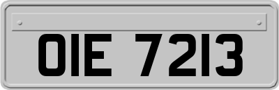 OIE7213