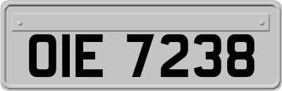 OIE7238