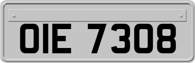 OIE7308
