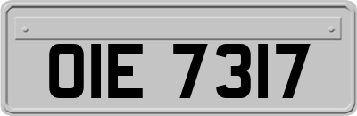 OIE7317