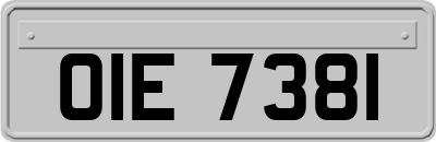 OIE7381