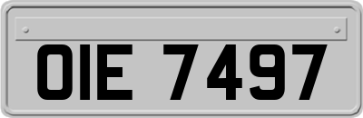 OIE7497