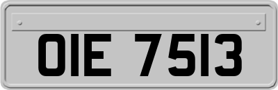 OIE7513