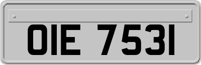 OIE7531