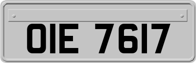 OIE7617