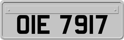 OIE7917