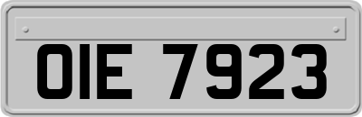 OIE7923