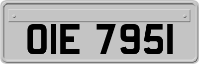 OIE7951
