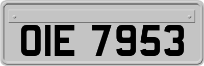 OIE7953