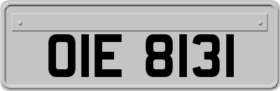 OIE8131