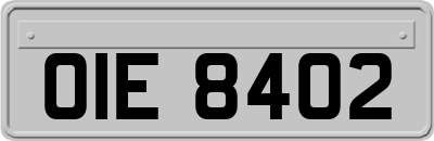 OIE8402