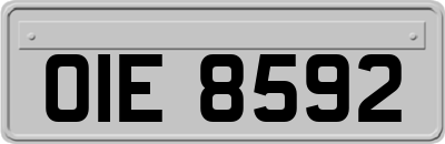 OIE8592