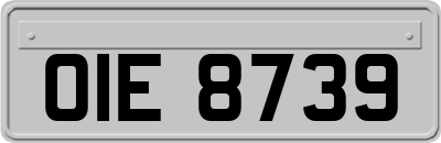 OIE8739