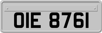 OIE8761