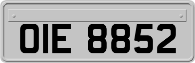 OIE8852
