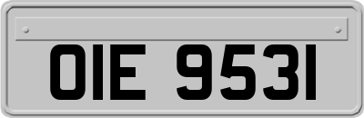 OIE9531