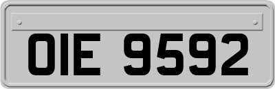 OIE9592