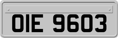 OIE9603