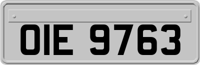 OIE9763