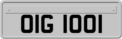 OIG1001