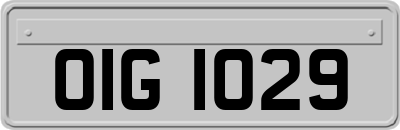 OIG1029