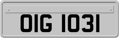 OIG1031