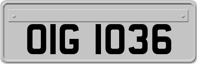 OIG1036
