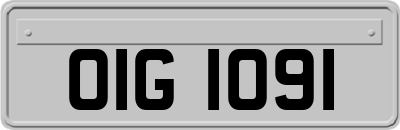 OIG1091