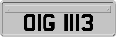 OIG1113