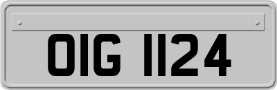 OIG1124