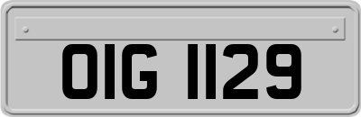 OIG1129