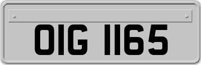 OIG1165