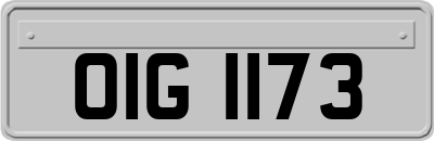 OIG1173