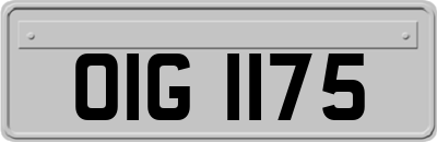 OIG1175