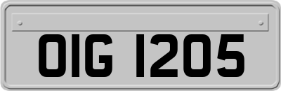OIG1205
