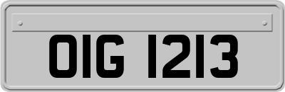 OIG1213