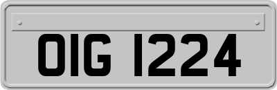 OIG1224