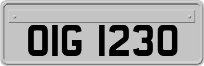 OIG1230