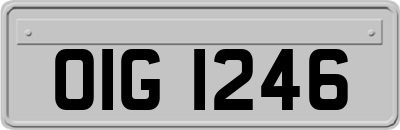 OIG1246