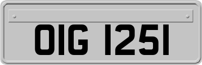 OIG1251