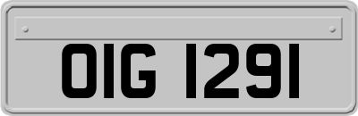OIG1291