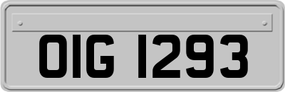 OIG1293