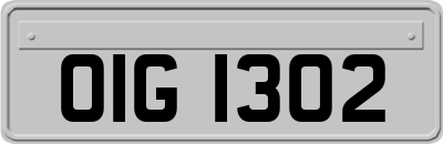 OIG1302