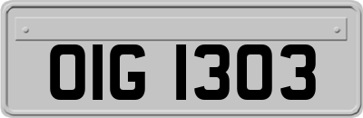 OIG1303