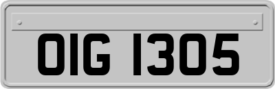 OIG1305